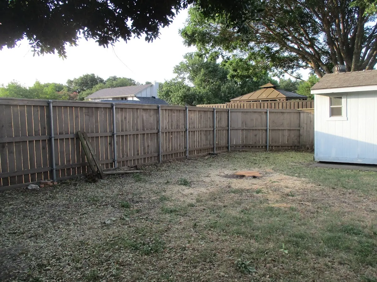 Cleared yard after professional tree removal in Scipio Center
