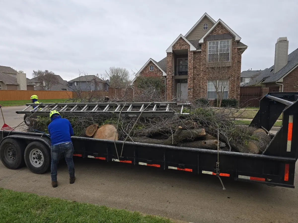 Expert Tree Fertilization with proper safety equipment in Scipio Center